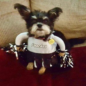 Meet your Posher, Christine